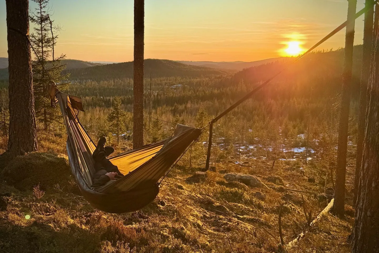 Momo Jord / Jord Hammock